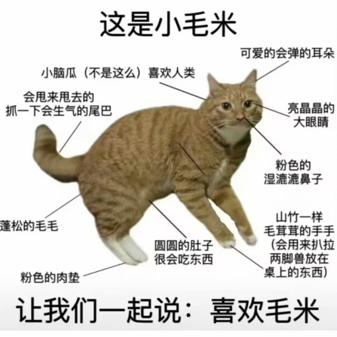 毛米